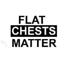 Small supremacy : r/FlatChestHentai